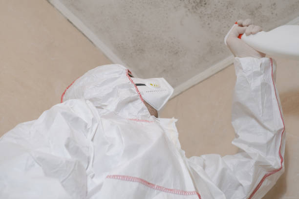 Russellville, AR Mold Remediation Company